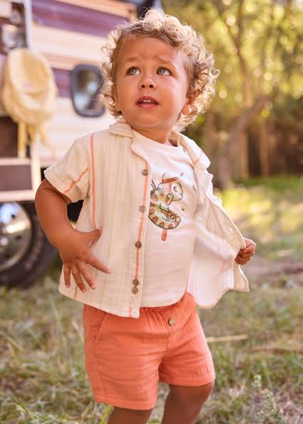 Striped Linen Shirt