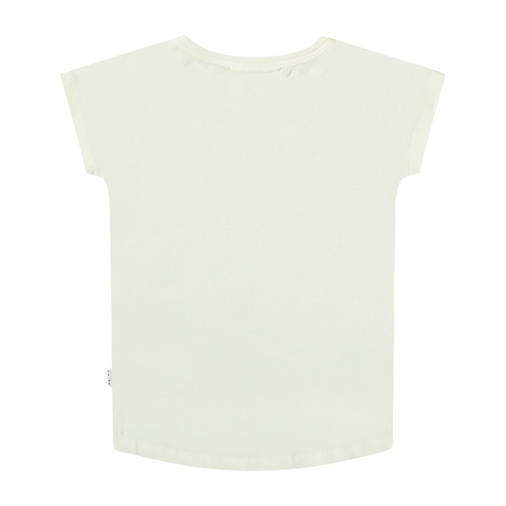 Wave Jumpng Dolphin T-shirt