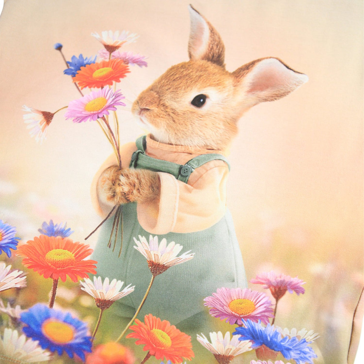 Bunny Rabbit T-Shirt