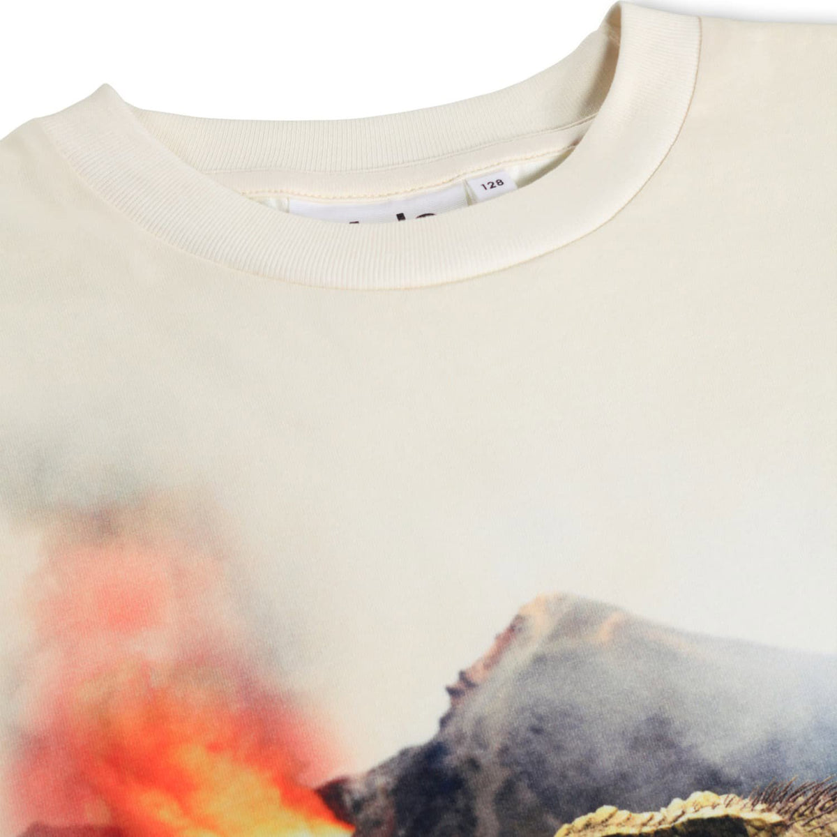 Hot Spring Dino T-Shirt